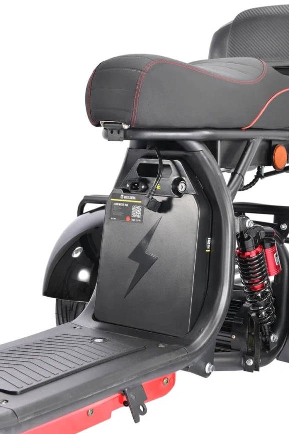 WHITE SIBERIA PRO TRIKE 3000W BLACK фото 3