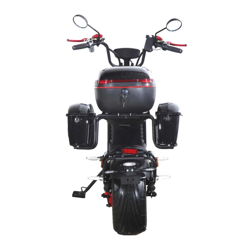 Электроскутер Skyboard FAR EAST 5000W (мотор-колесо 5000W, АКБ Li-ion 72V50Ah) фото 8