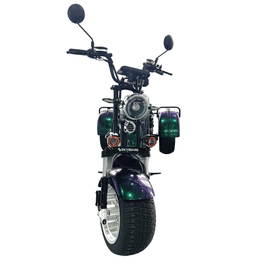 Электроскутер Skyboard MyRussia BR60 3000W (АКБ LiFePO4 72V25Ah) фото 21