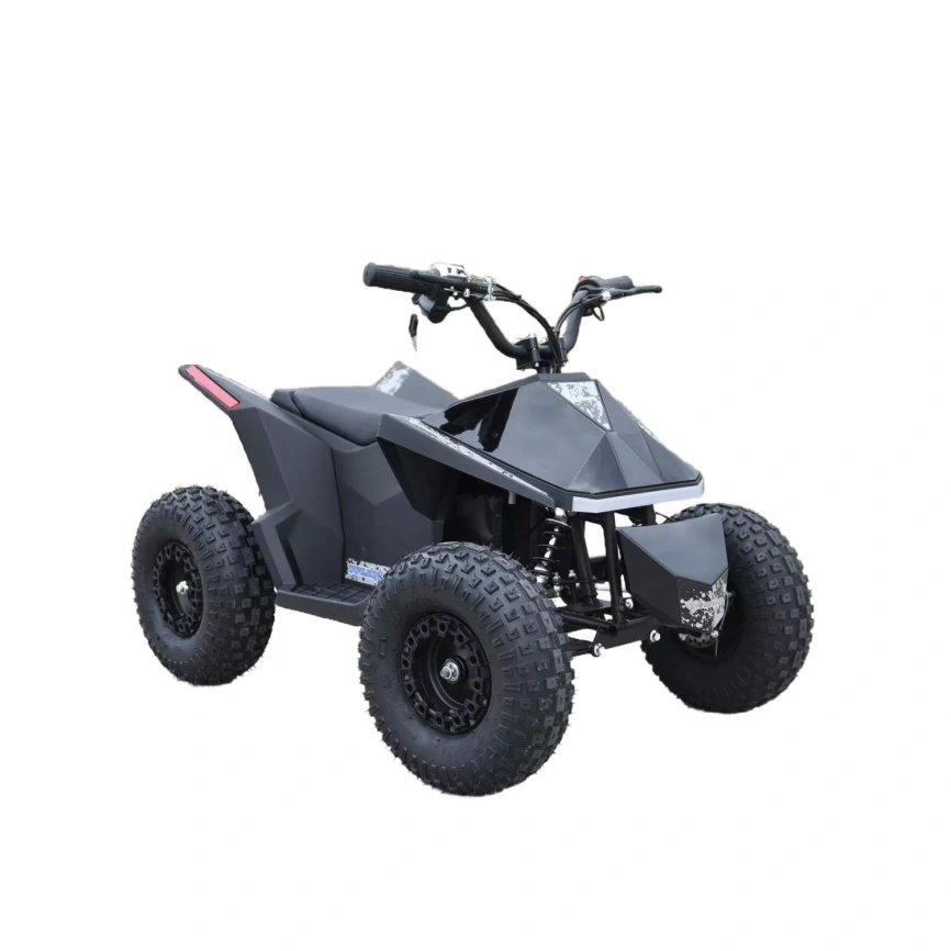 Skyboard CyberTruck Sochi Power 1000W (дифференциальный редуктор) фото 8