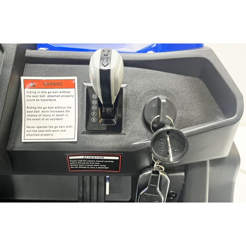 Багги GreenCamel Намиб T008 (48V20Ah 1200W R6 Дифф) аморт фото 13