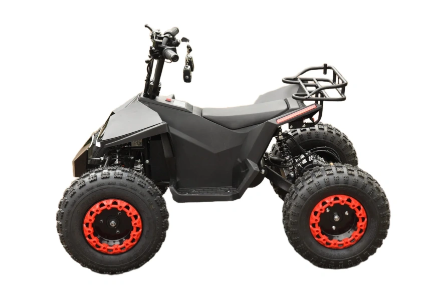 Электроквадроцикл Skyboard CyberTruck Karelia 1800W фото 13