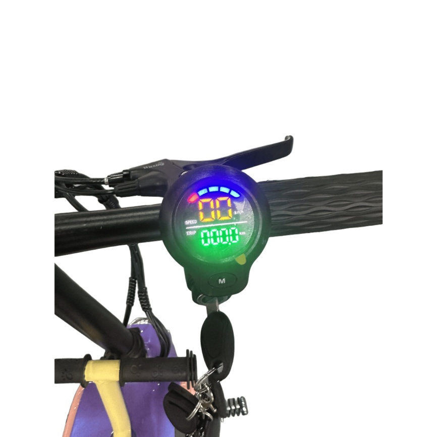 Электроскутер Skyboard Piter 350W фото 20