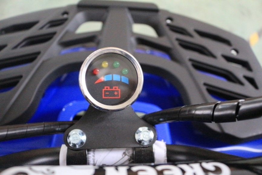 Электроквадроцикл GreenCamel Гоби K24 36V 800W фото 19