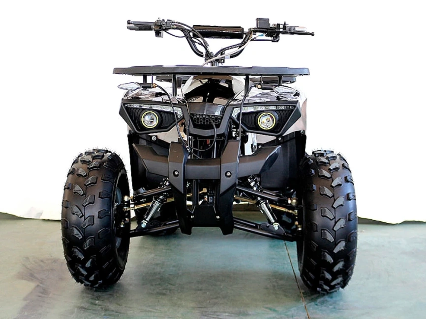 Электроквадроцикл GreenCamel Атакама T240 (1000 ватт) фото 9