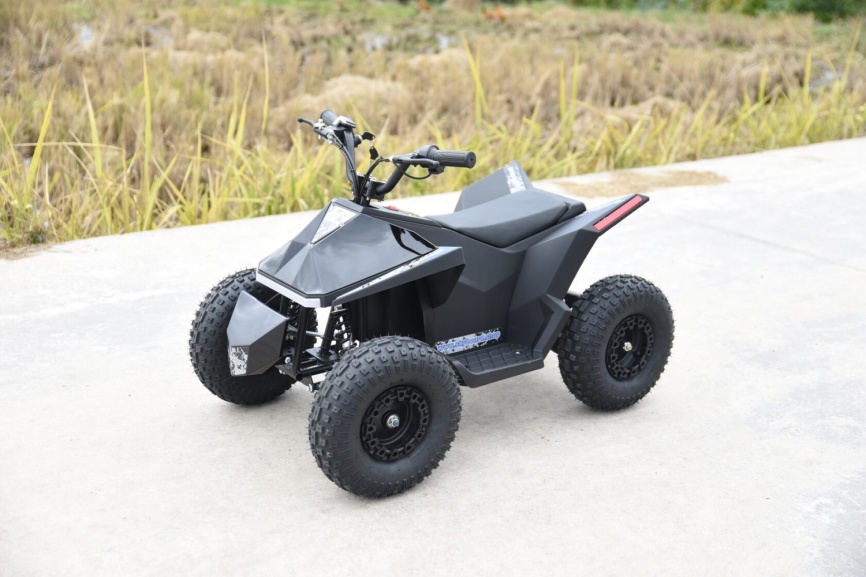 Skyboard CyberTruck Sochi Power 1000W (дифференциальный редуктор) фото 9