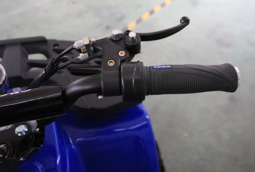 Электроквадроцикл GreenCamel Гоби K24 36V 800W фото 16