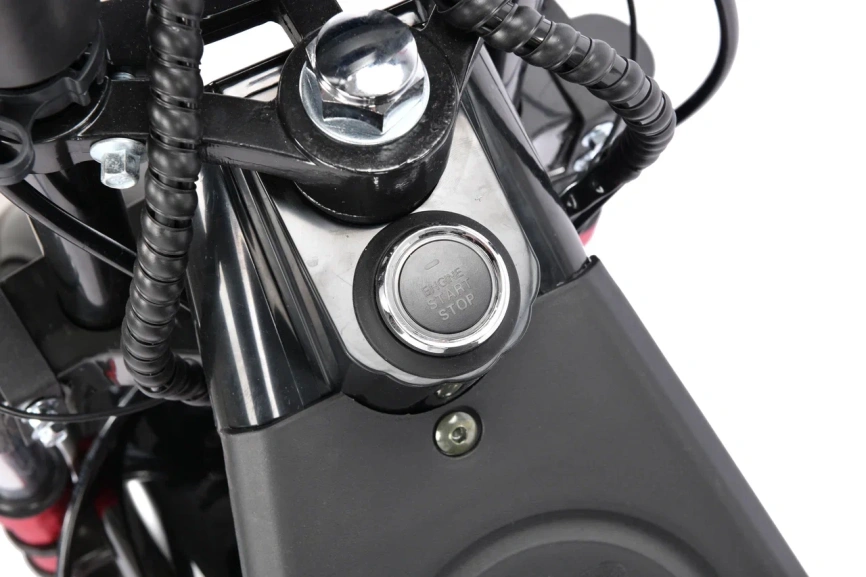 WHITE SIBERIA PRO TRIKE 3000W BLACK фото 12