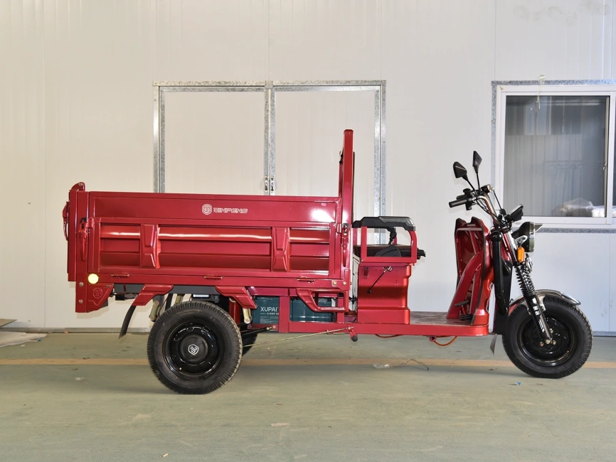 Трицикл E-JB150Z фото 5