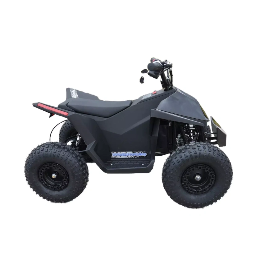 Skyboard CyberTruck Sochi Kids 800W фото 7