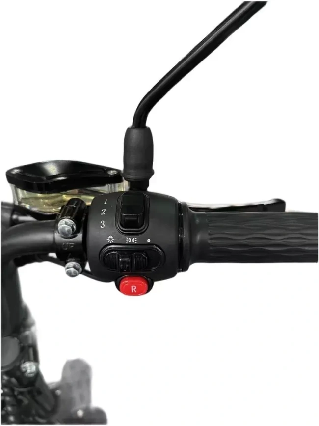 Электроскутер Skyboard MyRussia BR60 3000W (АКБ LiFePO4 72V25Ah) фото 18