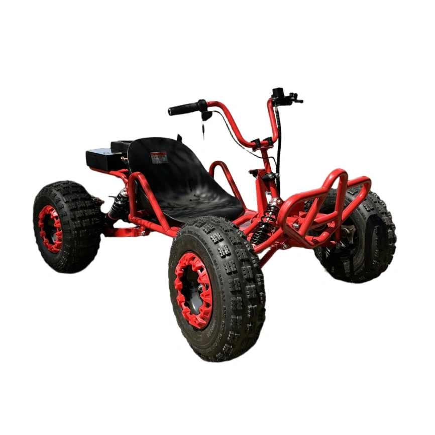 Электрокартинг Skyboard Karting Krasnodar 1000W фото 17