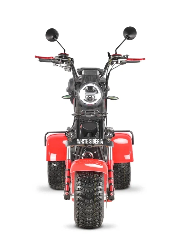 Электроскутер WHITE SIBERIA PRO MAX 3950W RED фото 24