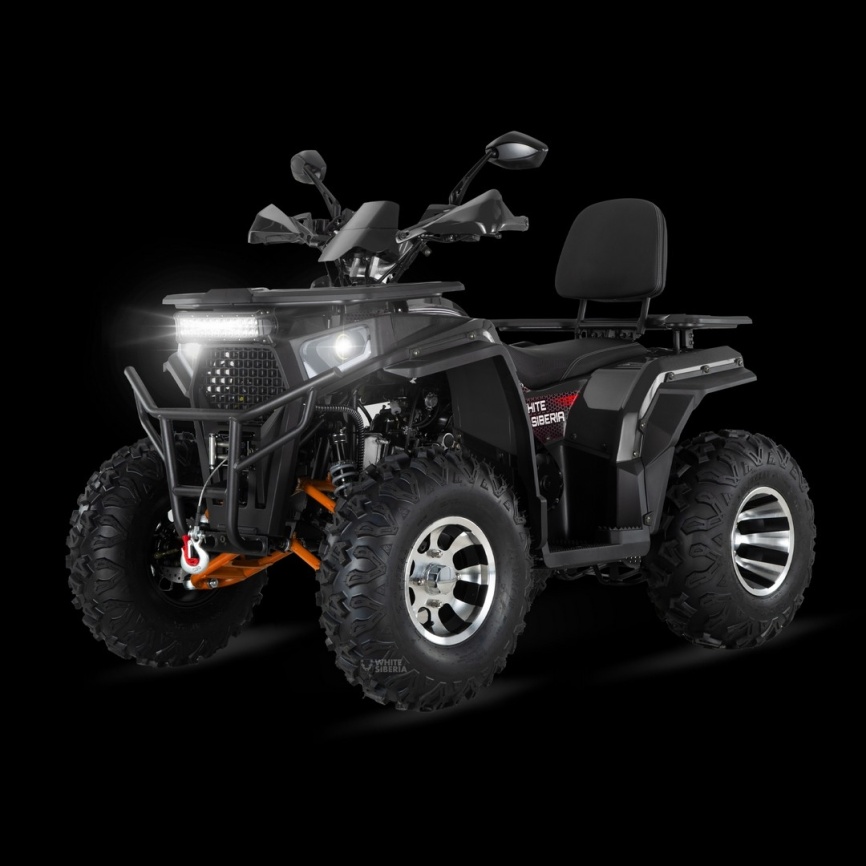Бензиновый квадроцикл WHITE SIBERIA BARS 200CC PRO (черный) фото 1