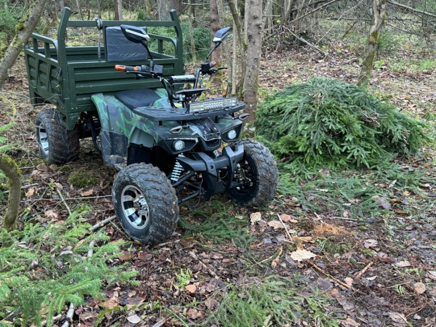 Квадроцикл грузовой GreenCamel Сахара A015 (72V32Ah 1500W R10alum) пониженная фото 3
