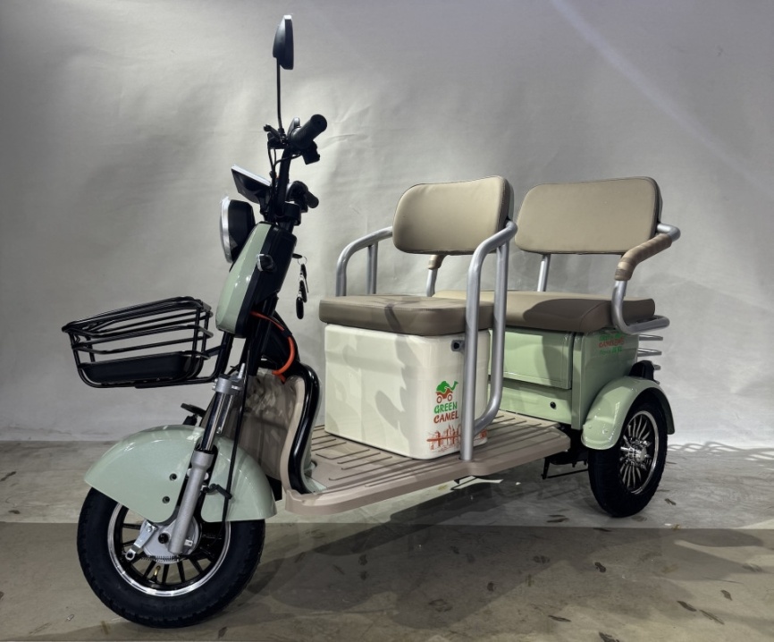 Трицикл GreenCamel Пони Z8 V2 (72V20Ah 1000W) дифференциал фото 6
