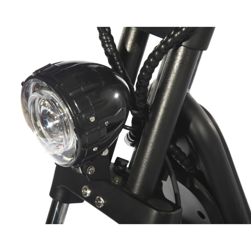 Электроскутер Skyboard Sakhalin 1200W (АКБ Li-ion 48V25Ah) фото 5