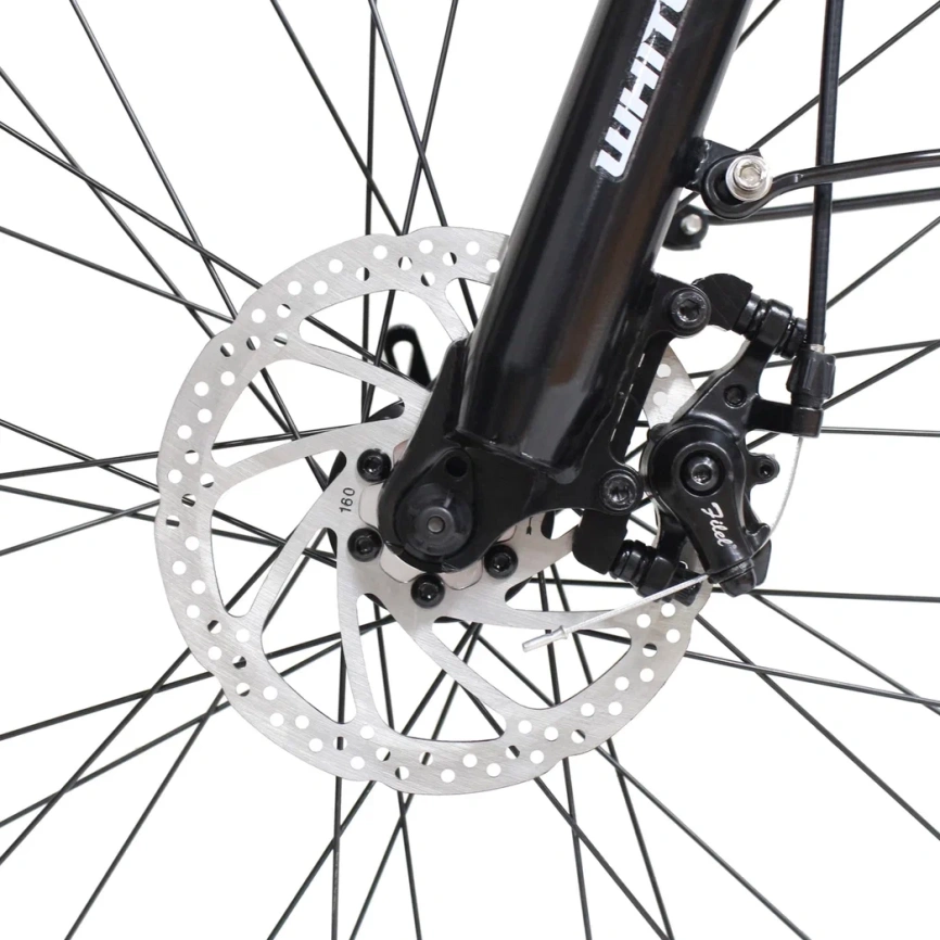 WHITE SIBERIA CAMRY ALLROAD 500W (матовый зеленый) фото 18