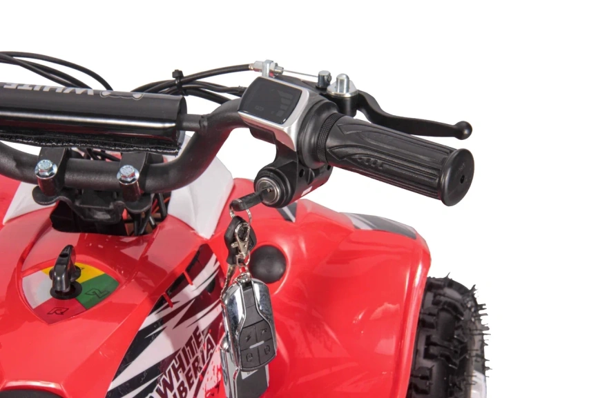  Детский Квадроцикл WHITE SIBERIA SNEG LETO R FERRA фото 14