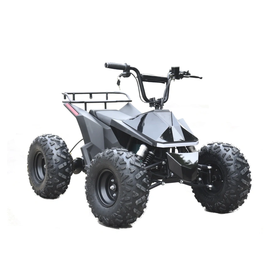 Электроквадроцикл Skyboard CyberTruck Karelia 1800W фото 28