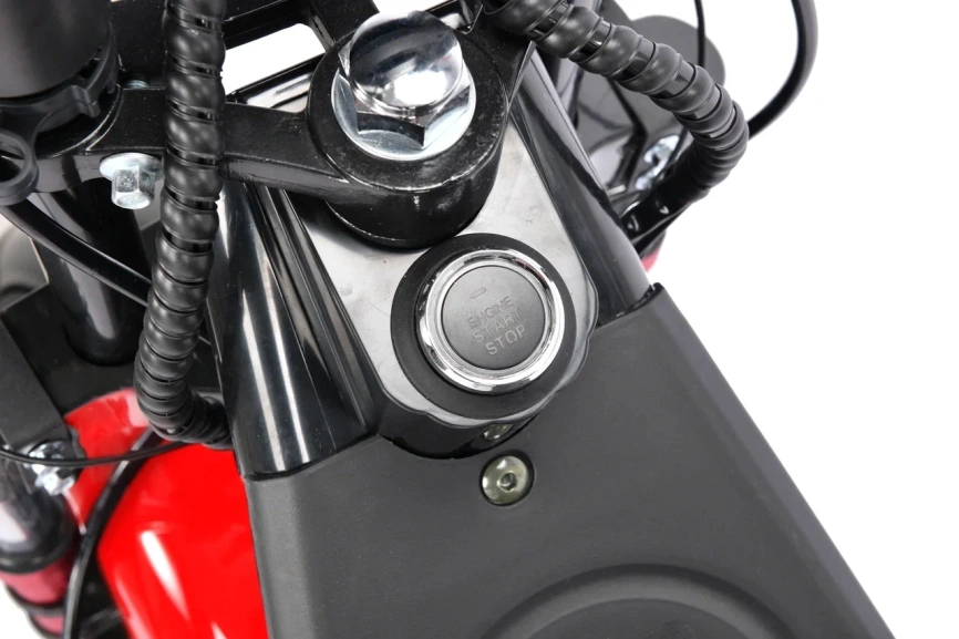 WHITE SIBERIA PRO TRIKE 3000W RED фото 13