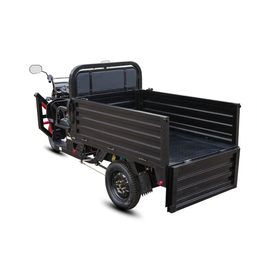 SIBTRIKE CARGO 1500 W 60V36A фото 28