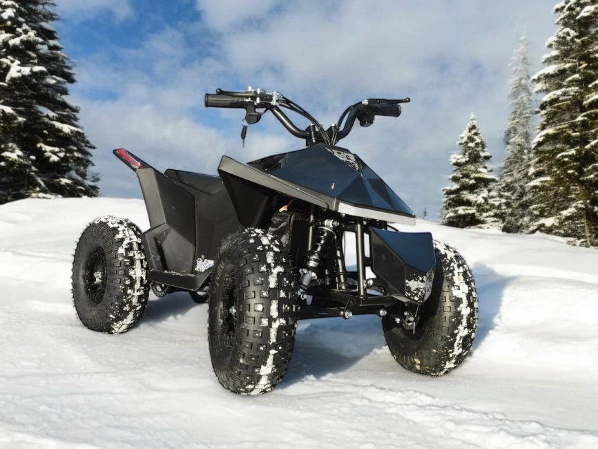 Skyboard CyberTruck Sochi Kids 800W фото 3