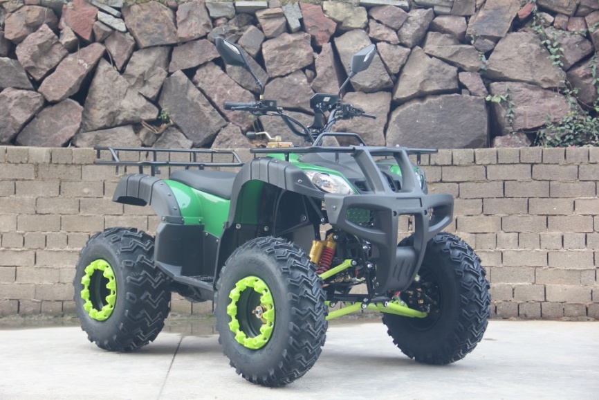 Электроквадроцикл GreenCamel Сахара A3052 (60V 3000W R10) фото 3