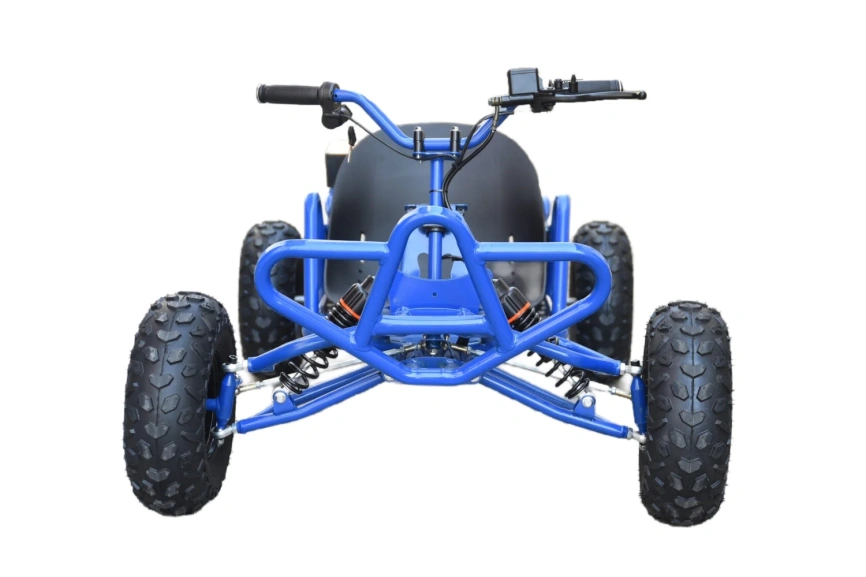 Электрокартинг Skyboard Karting Krasnodar 1000W фото 2