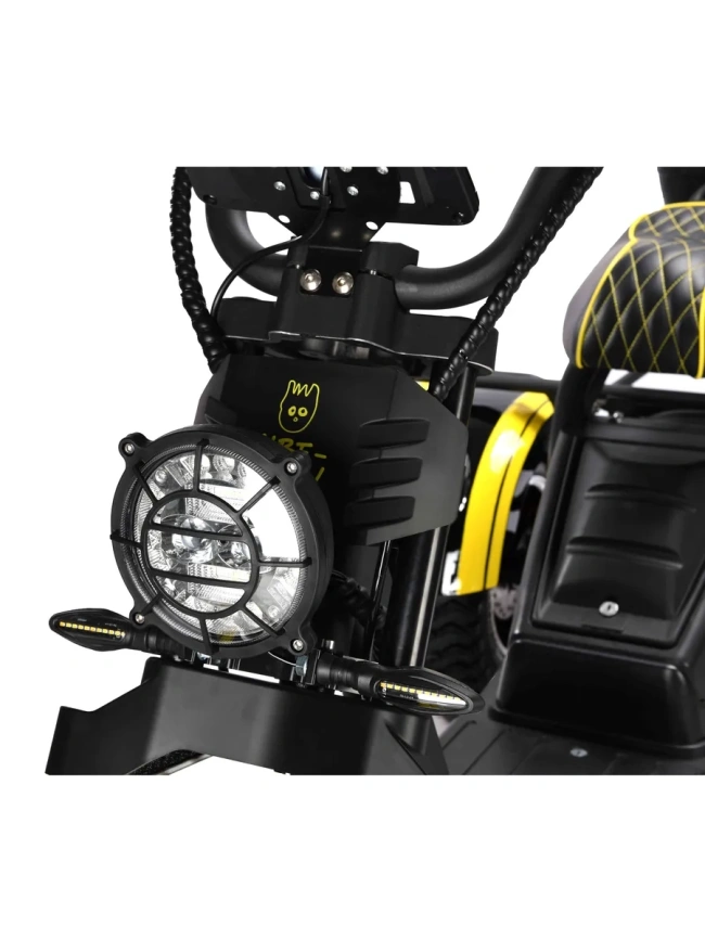 Электротрицикл Siberton Pro 3000W 60V21Ah фото 6