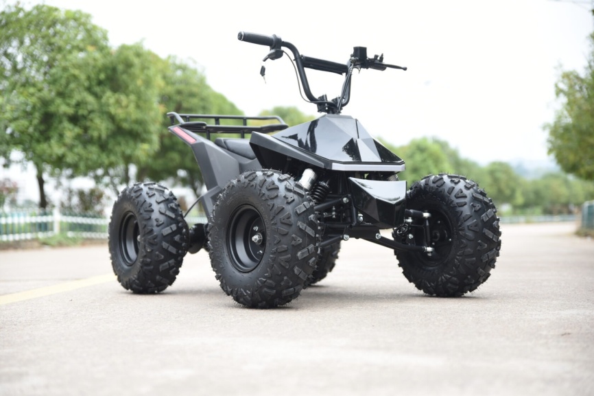 Электроквадроцикл Skyboard CyberTruck Karelia 1800W фото 7