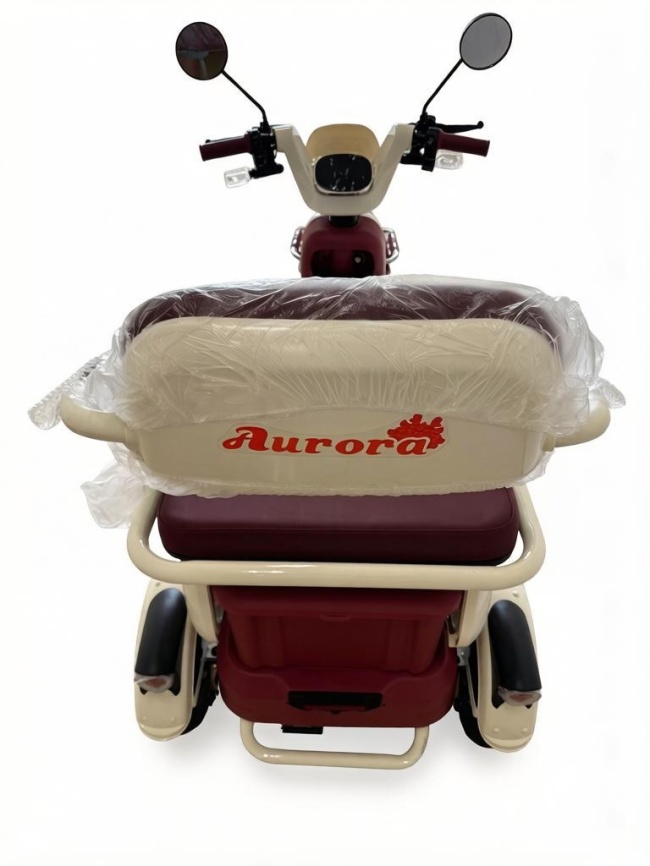 Электро Трицикл eDro Aurora фото 9