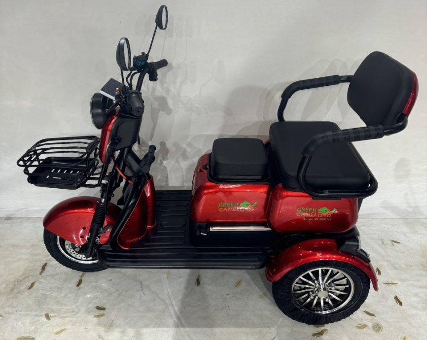 Трицикл GreenCamel Фродо X7 PRO V2 (60V20Ah 800W R10) дифференциал фото 3