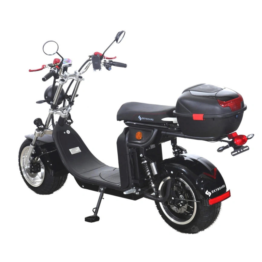 Электроскутер Skyboard Altai 4000W фото 5