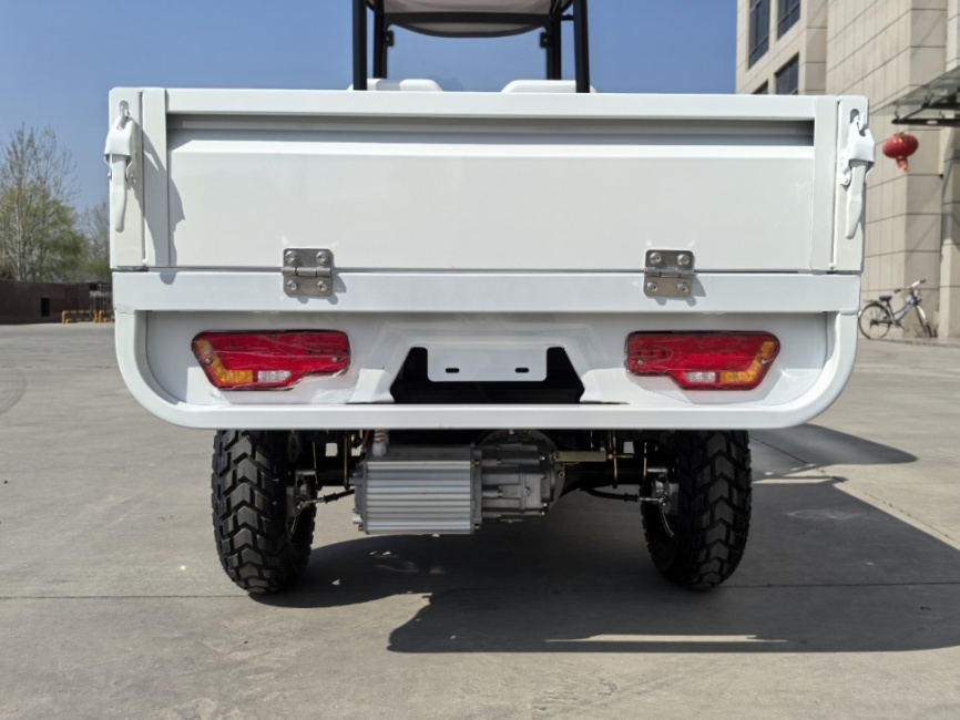 Гольфкар GreenCamel Сонора A2C New (2+Cargo 2500W 130/90-10' литые) пониженная фото 6