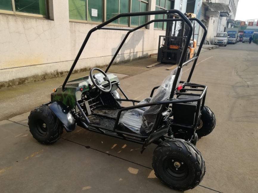 Багги GreenCamel Намиб T009 (60V20Ah 1500W R7) Дифф фото 6