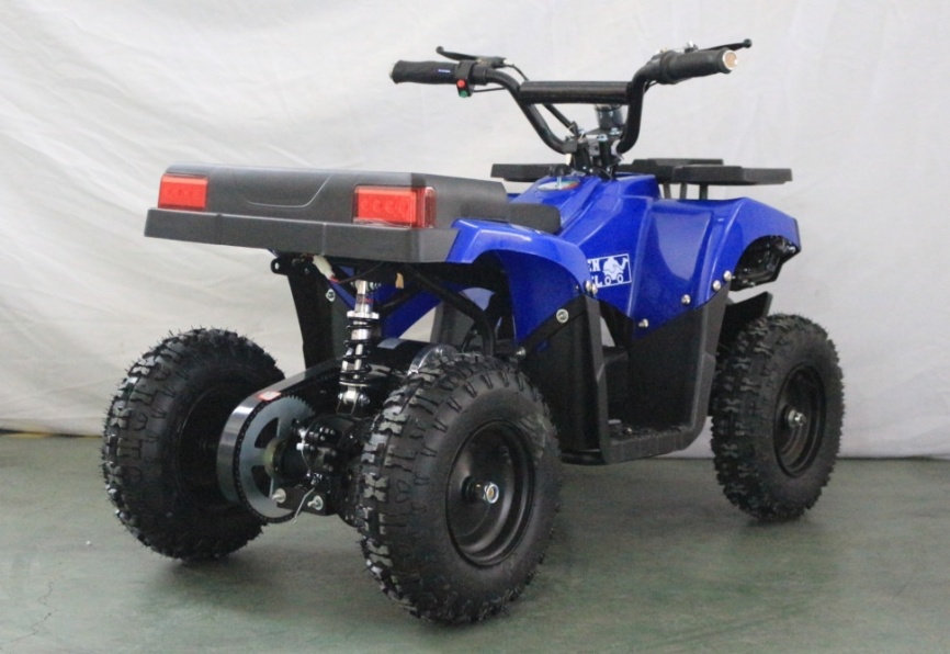 Электроквадроцикл GreenCamel Гоби K24 36V 800W фото 3