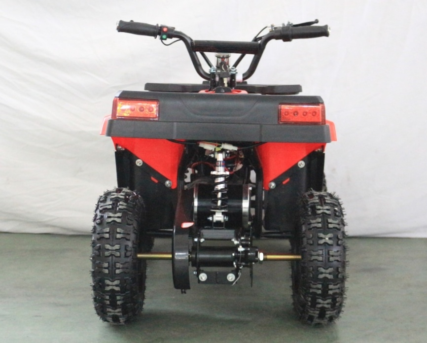 Электроквадроцикл GreenCamel Гоби K24 36V 800W фото 9