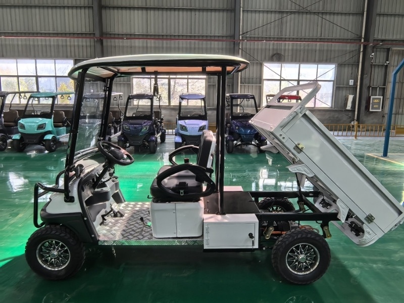 Гольфкар GreenCamel Сонора A2C New (2+Cargo 2500W 130/90-10' литые) пониженная фото 14