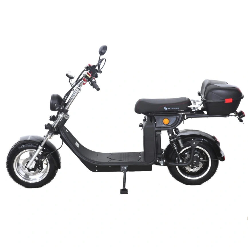 Электроскутер Skyboard Altai 4000W фото 8