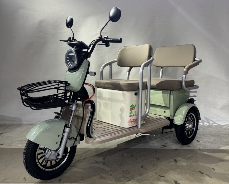 Трицикл GreenCamel Пони Z8 V2 (72V20Ah 1000W) дифференциал фото 5