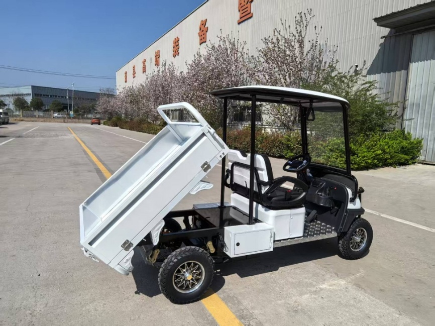 Гольфкар GreenCamel Сонора A2C New (2+Cargo 2500W 130/90-10' литые) пониженная фото 1