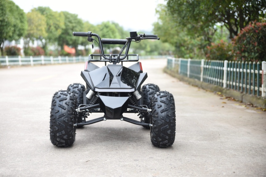 Электроквадроцикл Skyboard CyberTruck Karelia 1800W фото 29