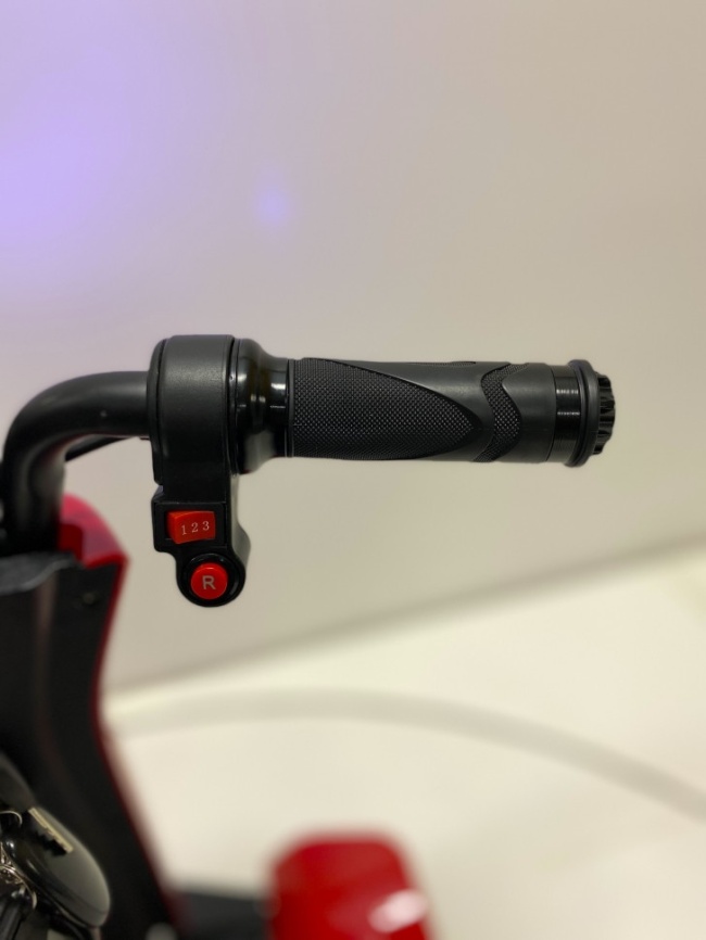 Трицикл GreenCamel Кольт 550 (36V 15Ah 2x250W) автомат фото 9