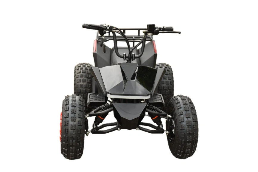 Электроквадроцикл Skyboard CyberTruck Karelia 1800W фото 25