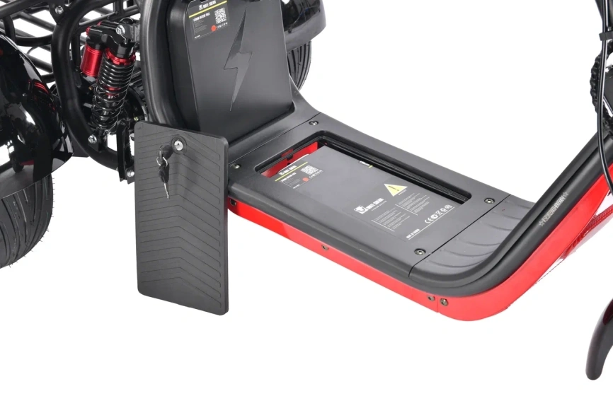 WHITE SIBERIA PRO TRIKE 3000W BLACK фото 25