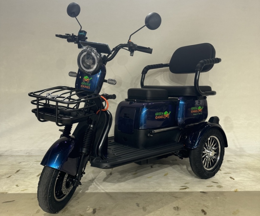 Трицикл GreenCamel Фродо X7 PRO V2 (60V20Ah 800W R10) дифференциал фото 6