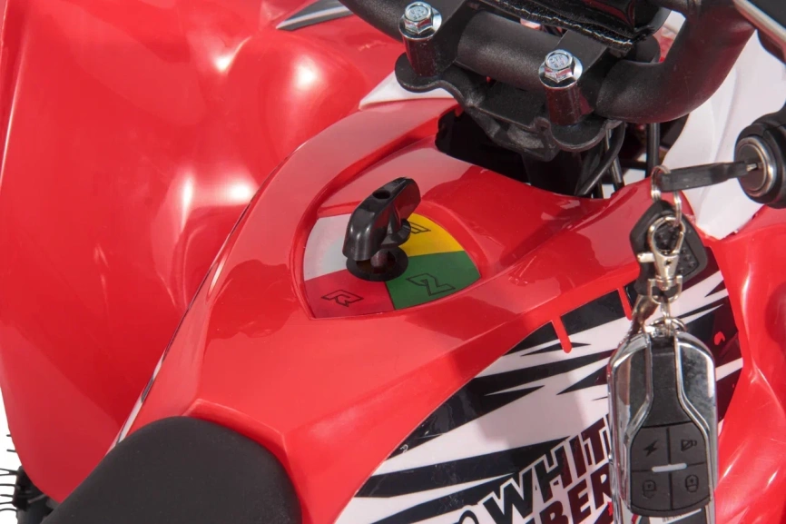  Детский Квадроцикл WHITE SIBERIA SNEG LETO R FERRA фото 13