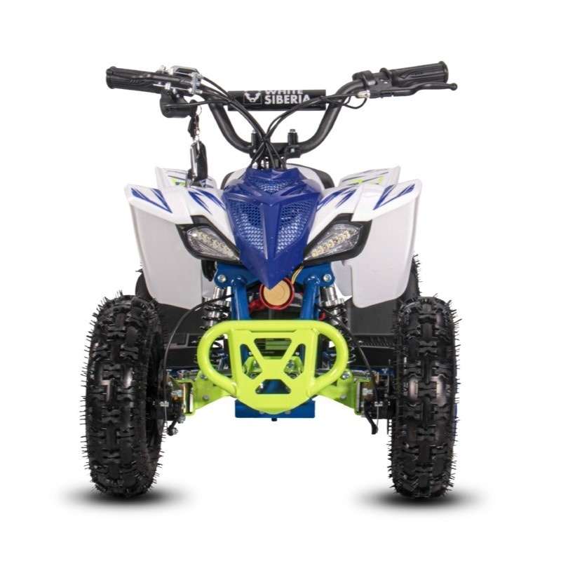  Детский Квадроцикл WHITE SIBERIA SNEG LETO R BLUE фото 2