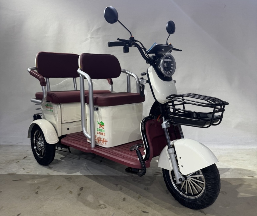 Трицикл GreenCamel Пони Z8 V2 (72V20Ah 1000W) дифференциал фото 8